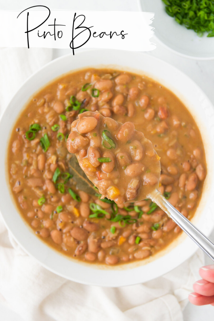Instant Pot Pinto Beans on Best Bean Recipes Guide