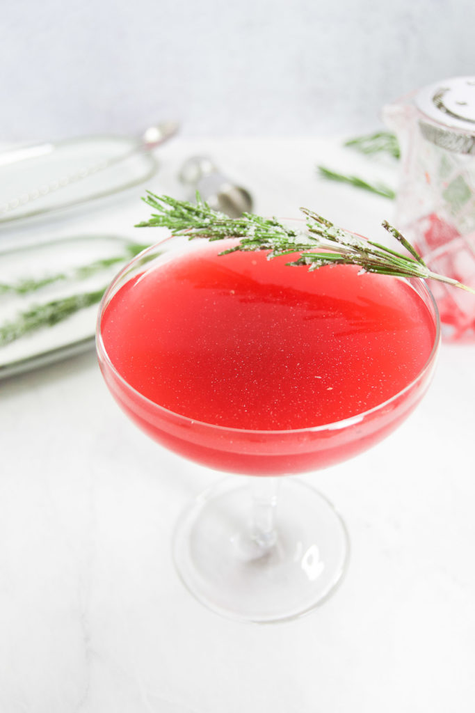 A cranberry cocktail in a coup glass garnished with a sugared rosemary tree