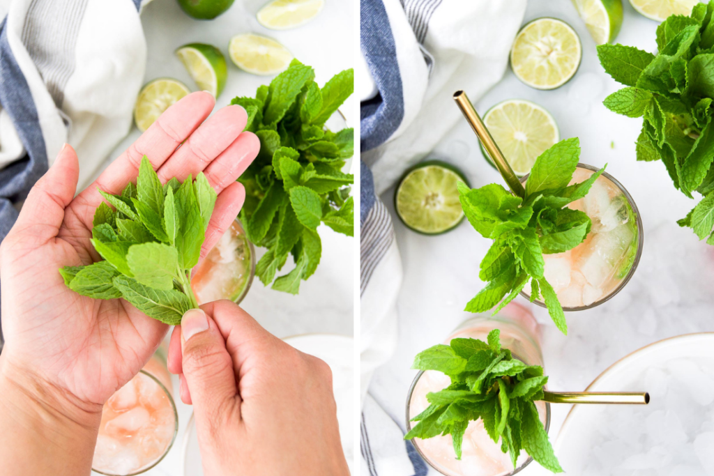 Collage showing how to garnish a Guava Nectar Cocktail with mint
