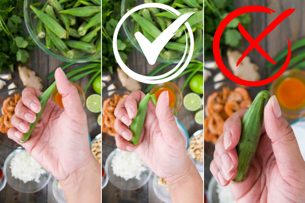 A collage of three images showing how to check the freshness of a pod of okra