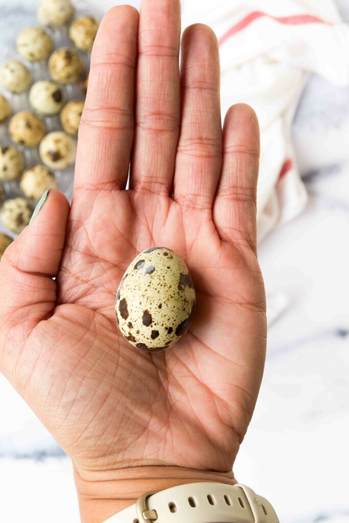 A hand holds a speckled quail egg in its palm